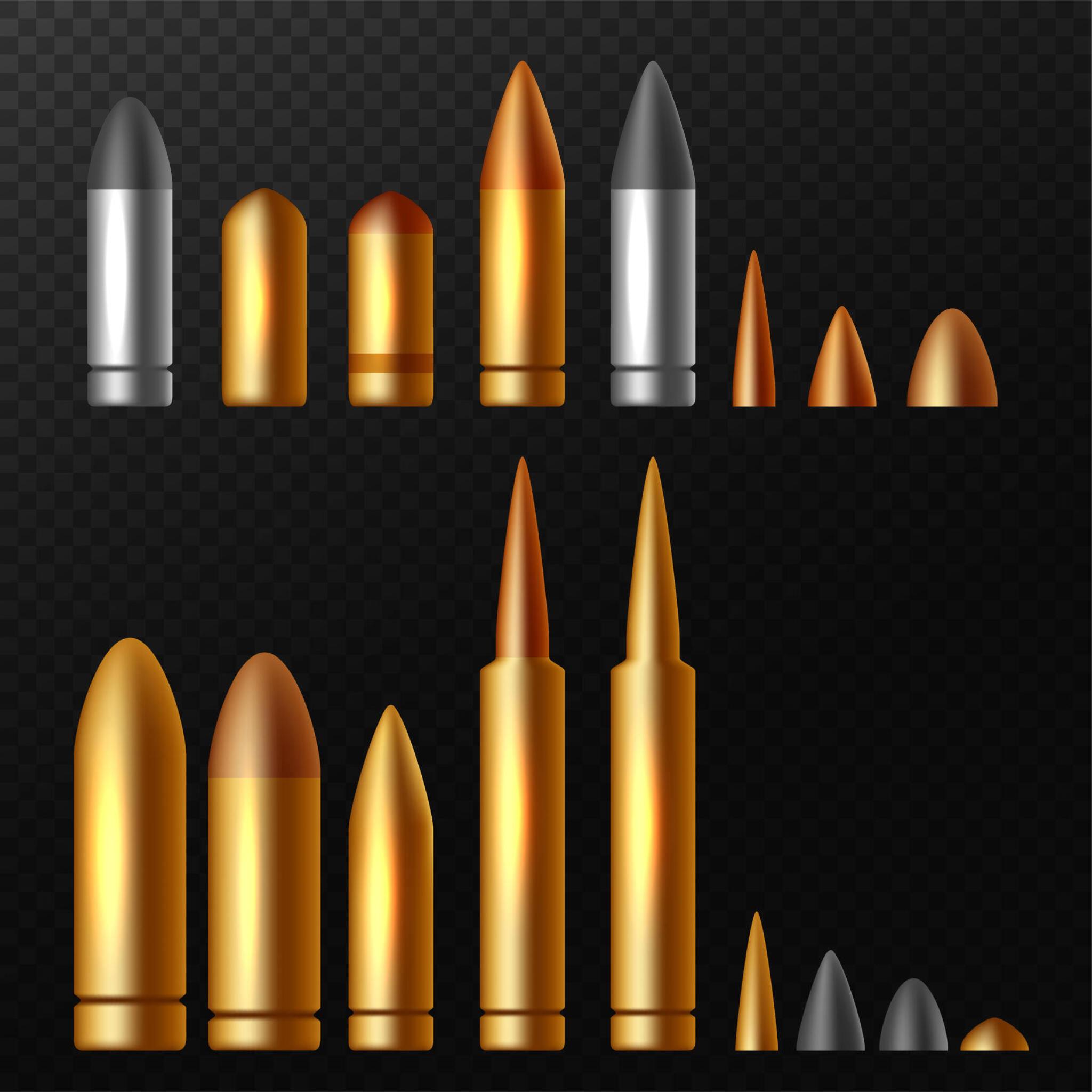 Read more about the article Exploring the Differences Between Hollow Point VS Ballistic Tip Ammunition